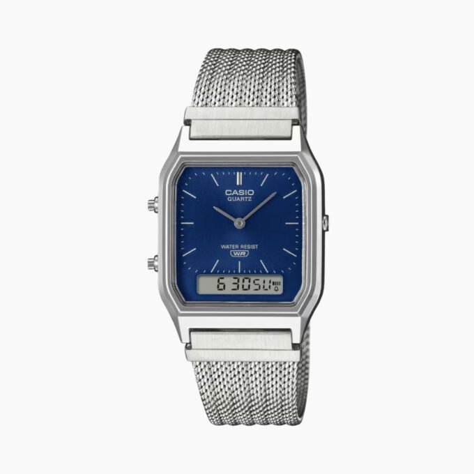 Montre Casio AQ-230EM-2ADF bracelet acier