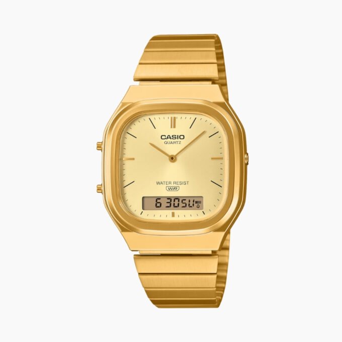 Montre Casio AQ-240EG-9ADF bracelet acier