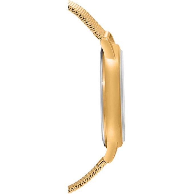 Montre Classique Homme - Casio - Acier Inoxydable, Bracelet Maille, Étanche 50m, Mouvement Analogique - Dorée- MTP-B130MG-1AVDF